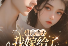 相亲当天，我嫁给了京都首富（蓝冉）全本书籍阅读相亲当天，我嫁给了京都首富完整版小说-筷子文学