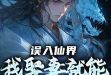 误入仙界,我娶妻就能天下无敌完整版小说误入仙界,我娶妻就能天下无敌(许世安)全章小说阅读-筷子文学