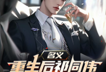 (全文)名义，重生后祁同伟先搞臭李达康免费小说全本，祁同伟试读更新章节-筷子文学