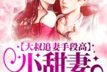 大叔追妻手段高，小甜妻逃不掉完整版小说，大叔追妻手段高，小甜妻逃不掉叶柠谢聿礼试读更新章节-筷子文学