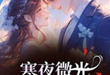 (全文)寒夜微光:她的逆袭人生热门小说排行榜,寒夜微光:她的逆袭人生袁小苔全章小说阅读-筷子文学