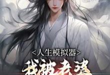 人生模拟器：我被老婆逼成世间极境白棋陈北玄免费小说人生模拟器：我被老婆逼成世间极境推荐完结小说-筷子文学