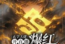 玄学大佬开直播，爆红阴阳两界最新章节阅读玄学大佬开直播，爆红阴阳两界(虞初见孟白首)试读更新章节-筷子文学