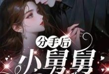 (全文)分手后，小舅舅夜夜洗床单（沈锦悦）免费小说分手后，小舅舅夜夜洗床单试读更新章节-筷子文学