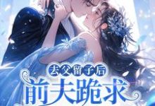 (全文)去父留子后，前夫跪求伺候我月子！林亦棠最新完结小说去父留子后，前夫跪求伺候我月子！免费阅读-筷子文学