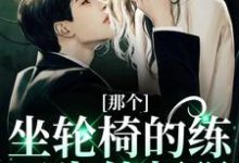 那个坐轮椅的练习生他超强完整版小说那个坐轮椅的练习生他超强(江北生)全章小说阅读-筷子文学
