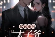 (全文)破镜重圆：太子爷他太霸道黎念靳宴深小说推荐，破镜重圆：太子爷他太霸道全章小说阅读-筷子文学