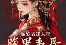 (全文)娇软表妹入府:腹黑表哥沦陷了(沈云婉)全本书籍阅读娇软表妹入府:腹黑表哥沦陷了免费小说全本-筷子文学