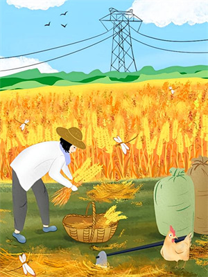 宠她无度小说，宠她无度章节在线阅读