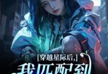 (全文)穿越星际后,我匹配到九个大冤种完结小说推荐洛千全本书籍阅读-筷子文学