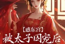 (全文)惑东宫：被太子囚宠后，她权倾天下陆菀音小说推荐，惑东宫：被太子囚宠后，她权倾天下全章小说阅读-筷子文学
