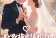 默默掏出结婚证,我的老公好奶宋禧最新完结小说,默默掏出结婚证,我的老公好奶全本免费在线阅读-筷子文学