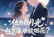 他为白月光包下海滩放烟花?离婚!霍宴州云初热门小说排行榜他为白月光包下海滩放烟花?离婚!免费小说-筷子文学