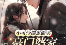 小可怜揣崽偷哭，豪门婆家来团宠最新章节阅读小可怜揣崽偷哭，豪门婆家来团宠(苏念念)试读更新章节-筷子文学