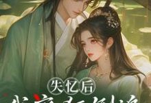 失忆后，我疯狂倒追冷面世子（沈云桉）全本书籍阅读失忆后，我疯狂倒追冷面世子完整版小说-筷子文学