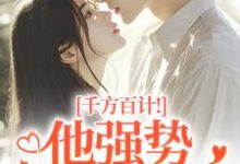 (全文)千方百计！他强势夺我闪婚热门小说排行榜，千方百计！他强势夺我闪婚南昭沙赫全章小说阅读-筷子文学