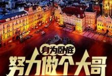 身为卧底，努力做个大哥不过分吧最新章节阅读身为卧底，努力做个大哥不过分吧(白舟)试读更新章节-筷子文学