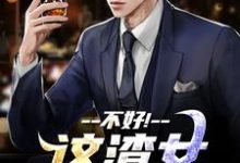 (全文)不好!这渣女要虐死了(顾迟云云晚晚)全本书籍阅读不好!这渣女要虐死了免费小说全本-筷子文学