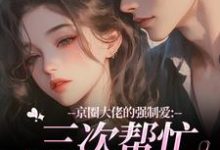 (全文)京圈大佬的强制爱:三次帮忙要我偿(陈盏)全本免费在线阅读-筷子文学