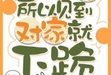 因为太怂所以见到对家就下跪（叶暮）全本书籍阅读因为太怂所以见到对家就下跪完整版小说-筷子文学