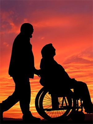 此日独听雨后荷这本小说怎么样？免费在线阅读试试