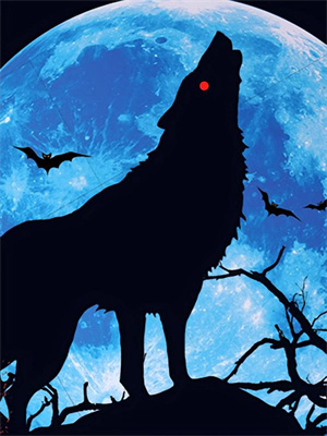 小说《假如不曾爱过你》章节免费阅读