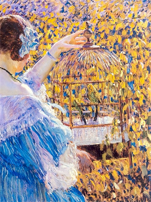 往事藏匿枯鱼之肆小说的免费阅读版本在哪里可以找到？