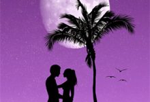 《弃了前夫觅了爱》小说章节在线试读,《弃了前夫觅了爱》最新章节目录-筷子文学